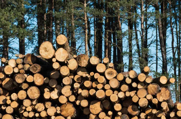 Logging operation